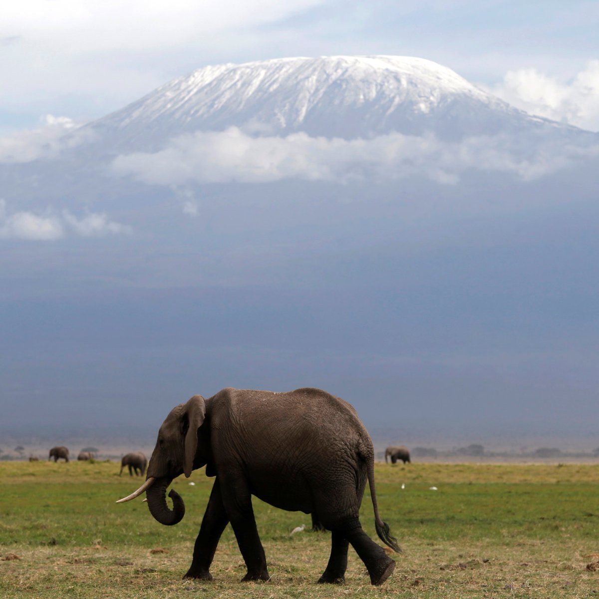 ajplus's tweet image. Africa's last glaciers will melt by 2040, warns the UN, and 118M poor people on the continent will face drought or floods by 2030 due to the climate crisis.

Africa produces 4% of global emissions. Studies say places least responsible for the crisis will suffer its worst effects.
