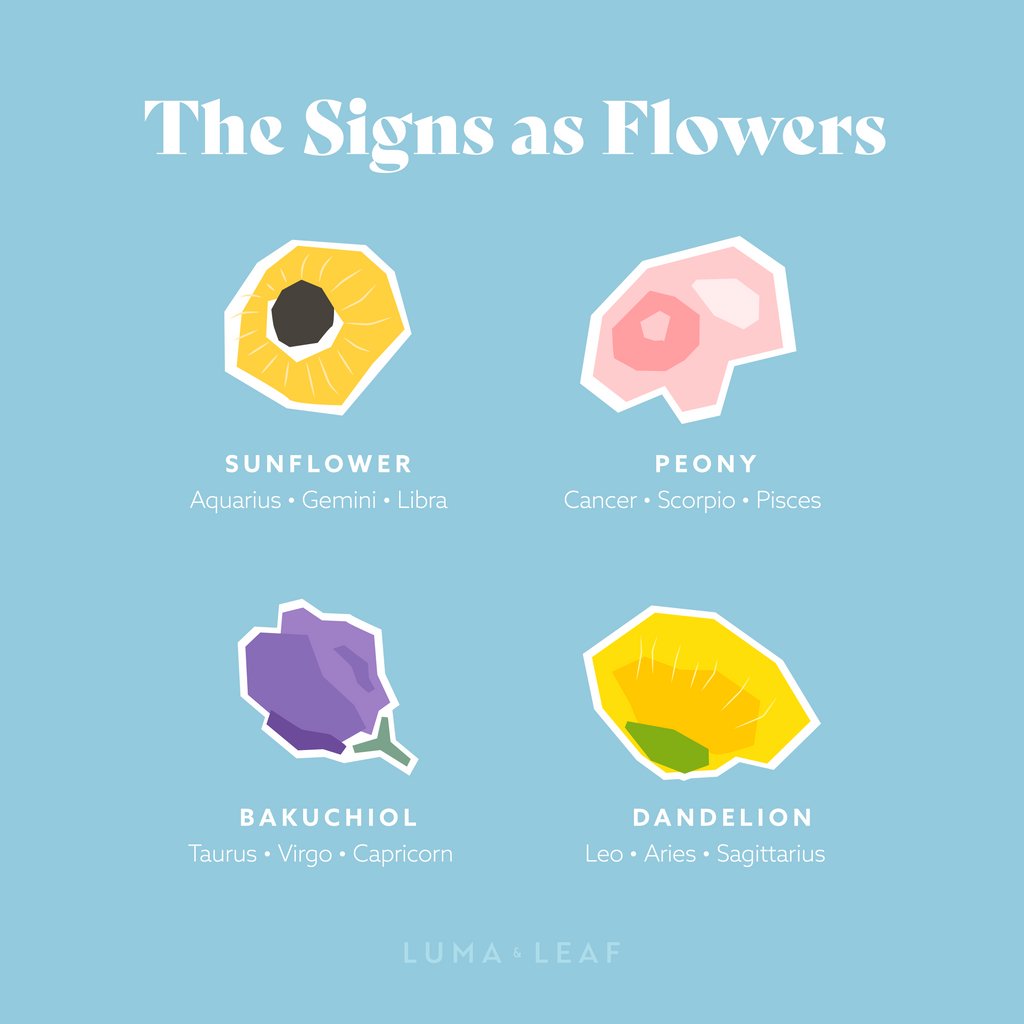 Luma & Leaf tweet media