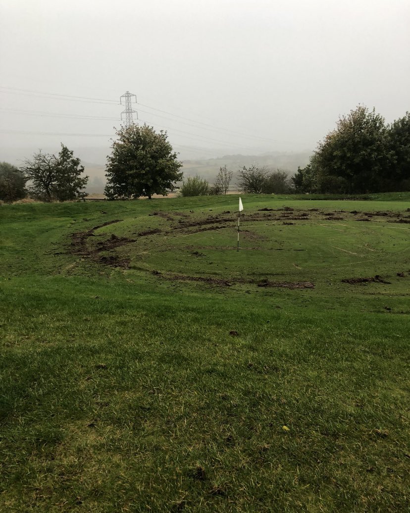 Birley Wood GolfClub tweet media