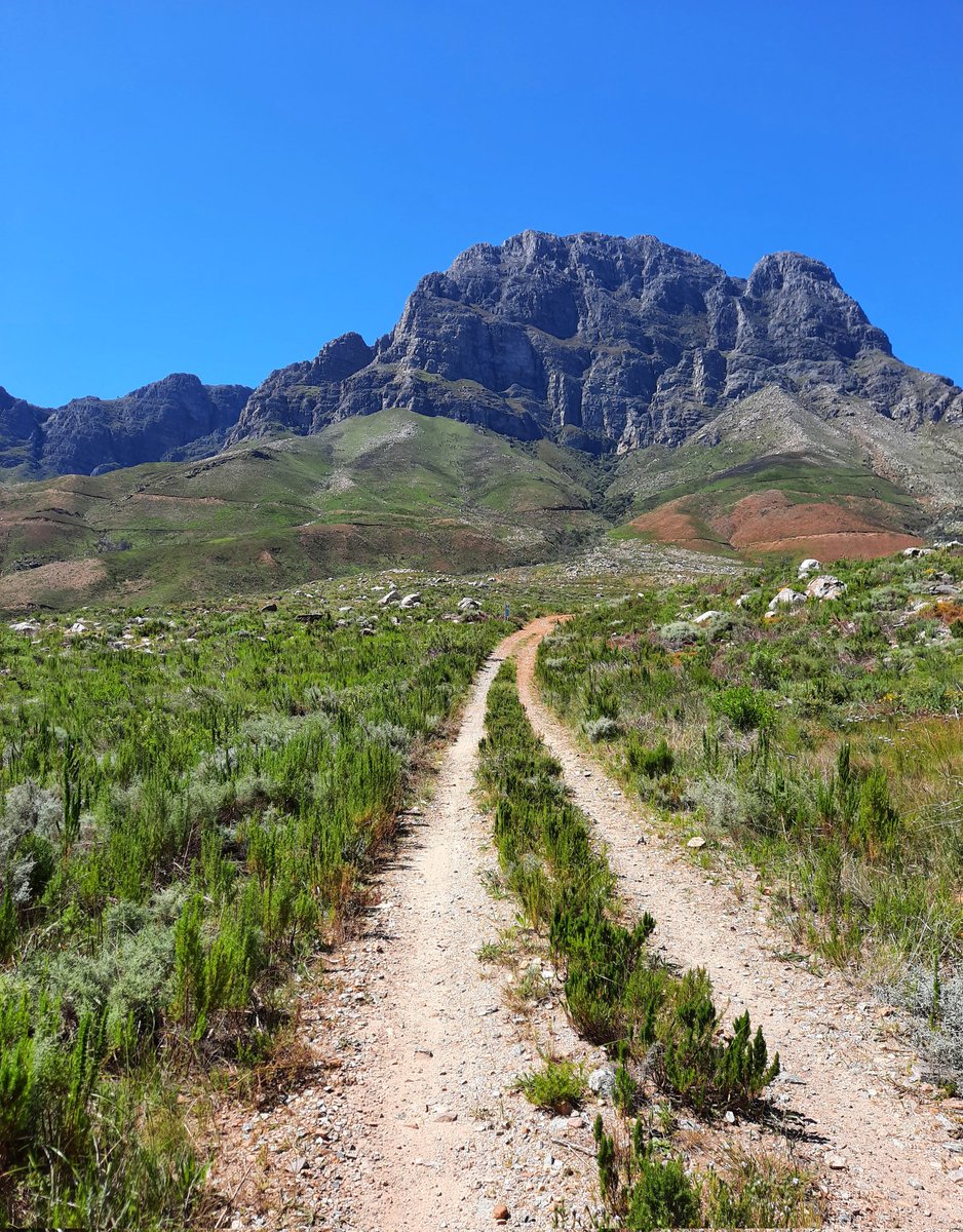 Winelands's tweet photo. Jonkershoek blooming beautiful again with lots of Spring season watsonias. Life after the devastating fire in March. 🌸 @VisitStellies #Stellenbosch #TravelChatSA https://t.co/JiqjI8cETu