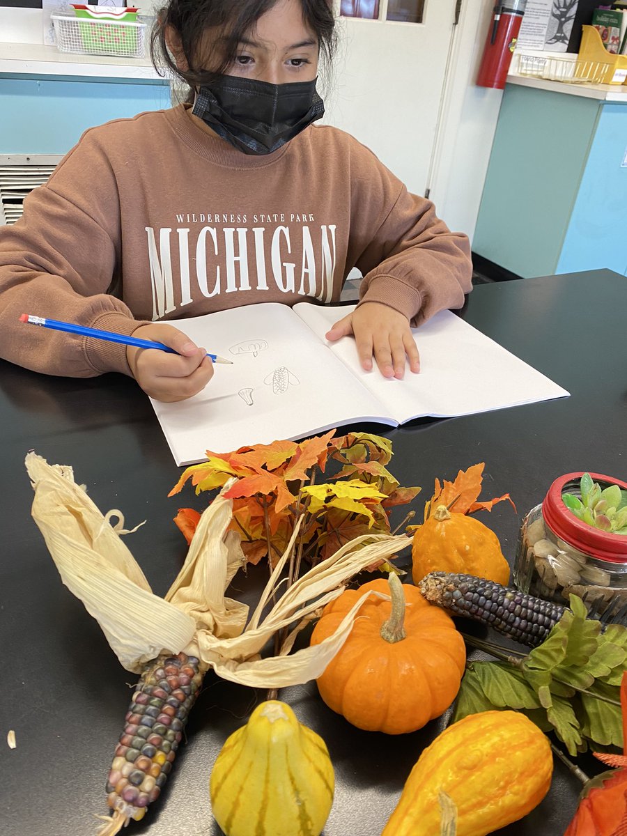 MrsBartuneksAr1's tweet photo. Thanks to @mjsheirlooms for the beautiful corn! 6th graders are using various fall items to practice for their upcoming contour still life drawings.  #nrcsd #nrcsdchat #nrnt2122 #artteachers #TEACHers @haverstrawelem #art https://t.co/PkIamTusgy