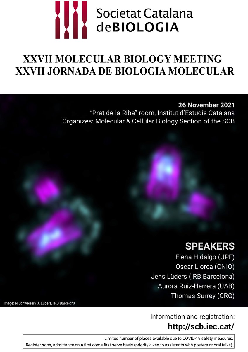 You can register now for the 17th edition of @SCB_iec's JORNADA DE BIOLOGIA MOLECULAR on 26th Nov ! With limited *in-person* attendence.