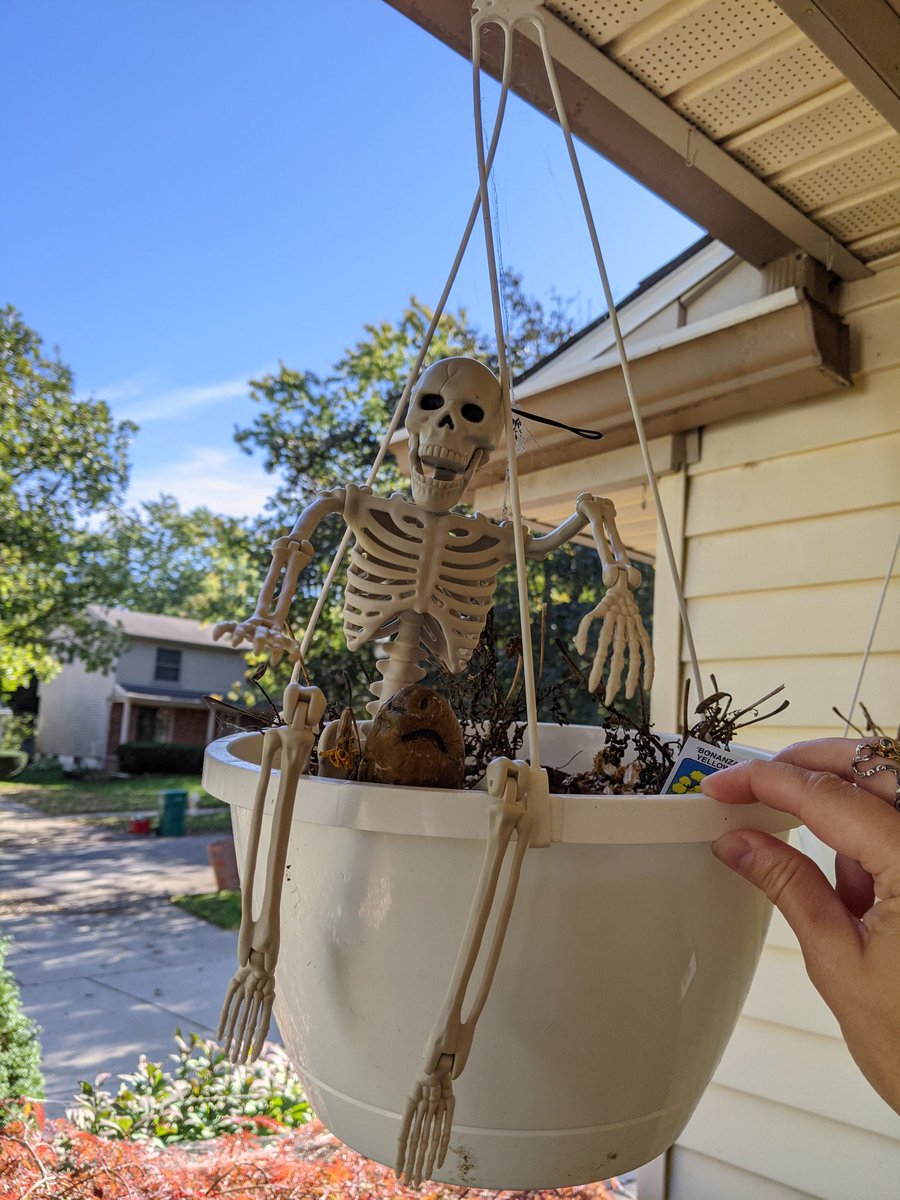 JenHaeger's tweet photo. No bones about it. Halloween is my favorite time of year! #GrumpyPotato https://t.co/8xuSkmJduA