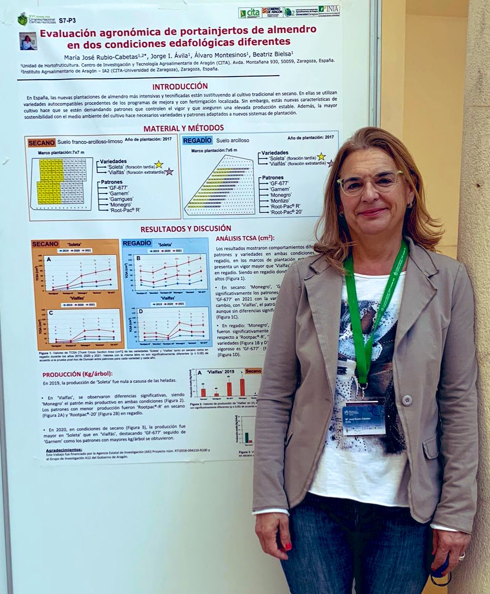 mariajodem's tweet photo. Trabajos del grupo de #almendro #almond #amandier #amandes #variedades #scion @beaforta #portainjertos #rootstocks @Al_Montesinos en la sesión de #mejora #genética 🧬 del @CITAAragon en congreso de la @SECHorticolas en Cordoba https://t.co/dMdFehU8yX