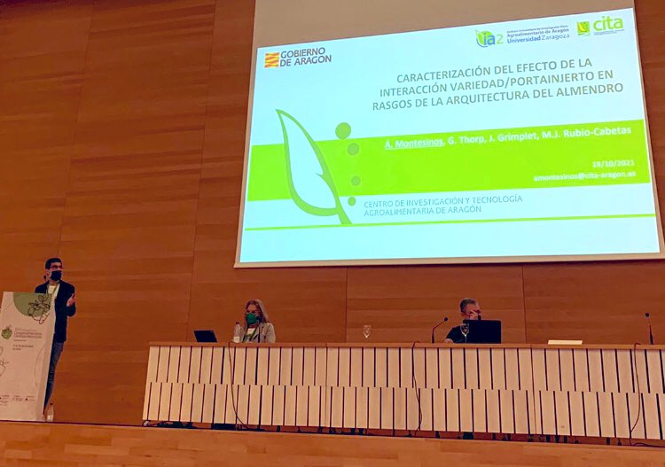 mariajodem's tweet photo. Trabajos del grupo de #almendro #almond #amandier #amandes #variedades #scion @beaforta #portainjertos #rootstocks @Al_Montesinos en la sesión de #mejora #genética 🧬 del @CITAAragon en congreso de la @SECHorticolas en Cordoba https://t.co/dMdFehU8yX