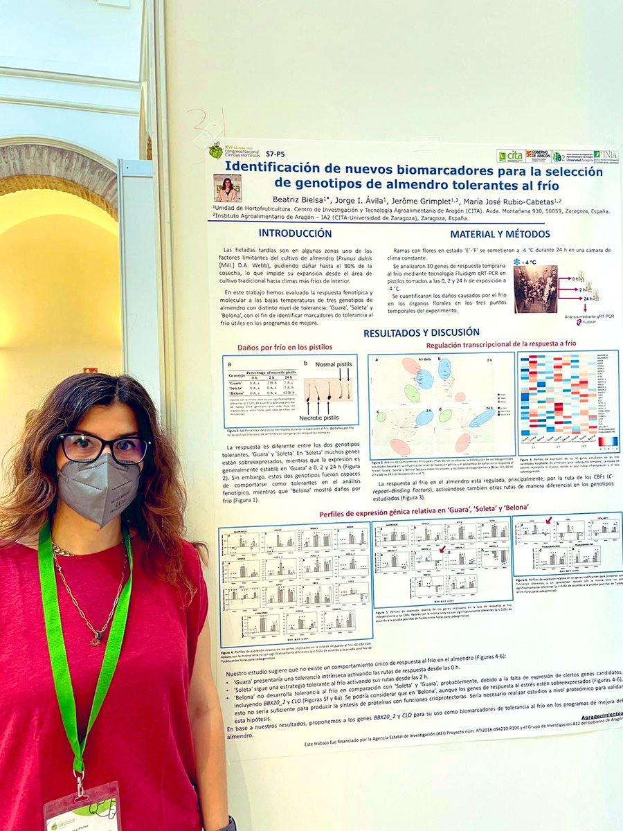 mariajodem's tweet photo. Trabajos del grupo de #almendro #almond #amandier #amandes #variedades #scion @beaforta #portainjertos #rootstocks @Al_Montesinos en la sesión de #mejora #genética 🧬 del @CITAAragon en congreso de la @SECHorticolas en Cordoba https://t.co/dMdFehU8yX