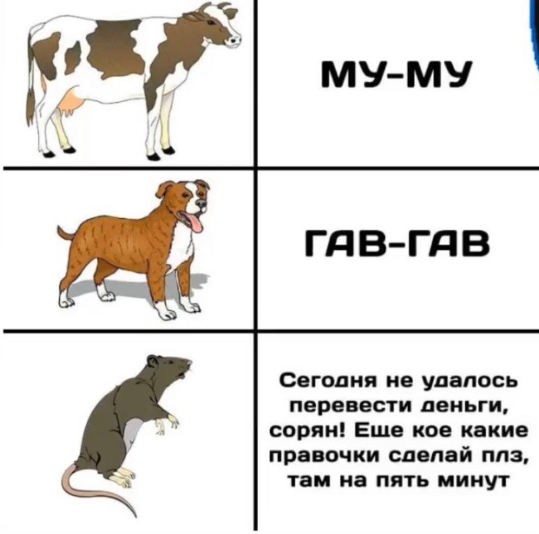 Катя DRUMMATIX tweet media