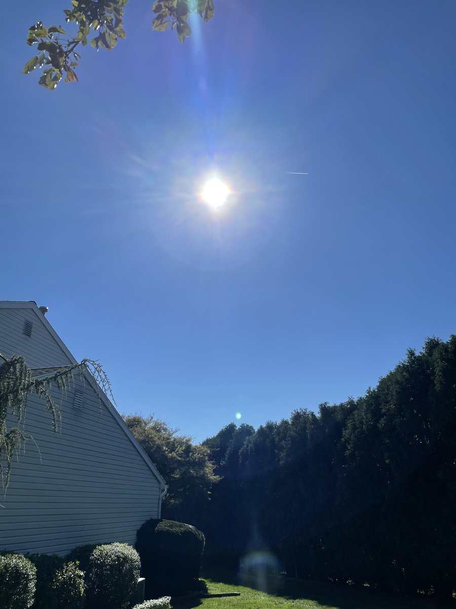 ibakeforaliving's tweet photo. A morning of Fall yard work under a beautiful cloudless sky! That sun feels…well, delicious! ☀️#fall #fallsunshine #bluesky #nothingbutblueskies https://t.co/UBG7wGVGNZ