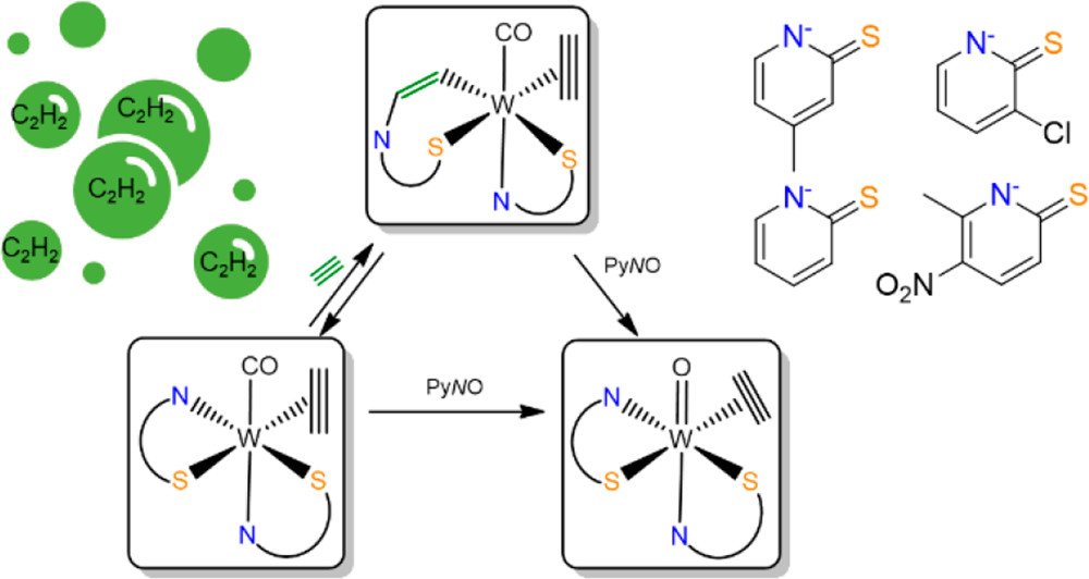 bhkenlo's tweet photo. The Effect of Pyridine-2-thiolate Ligands on the Reactivity of Tungsten Complexes toward Oxidation & Acetylene Insertion https://t.co/cNeKtsgEAp Mösch-Zanetti & co-workers @Orgmet_ACS #tunsten #pyridine2thiolate #MePyS #tungstoenzyme #acetylenehydratase #acetylene #oxo #carbonyl https://t.co/Wp9MZoVZA9