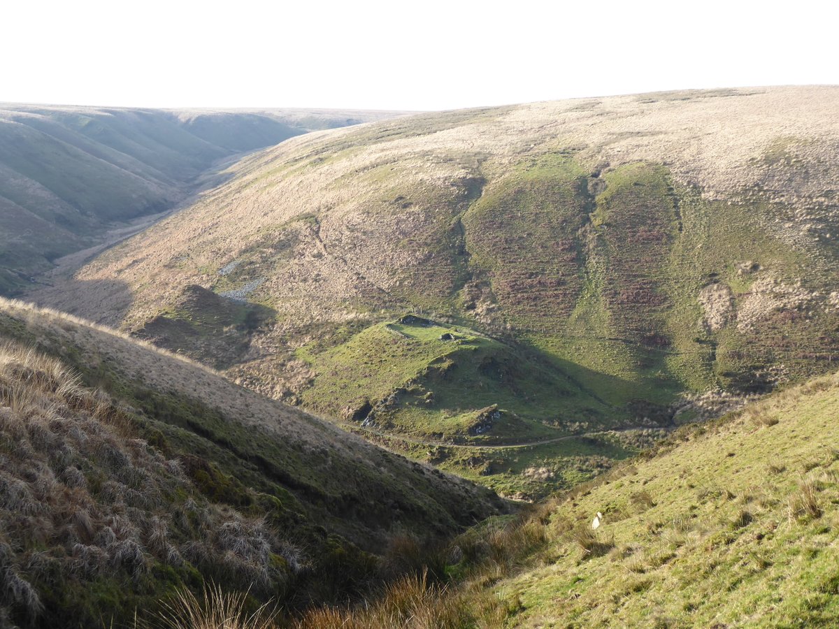 #ExmoorDay Cottage and sheepfold on Hoaroak Water at the entrance to Long Chains Combe. Built by John Knight in the 1820s. exmoorher.co.uk/Monument/MSO69…