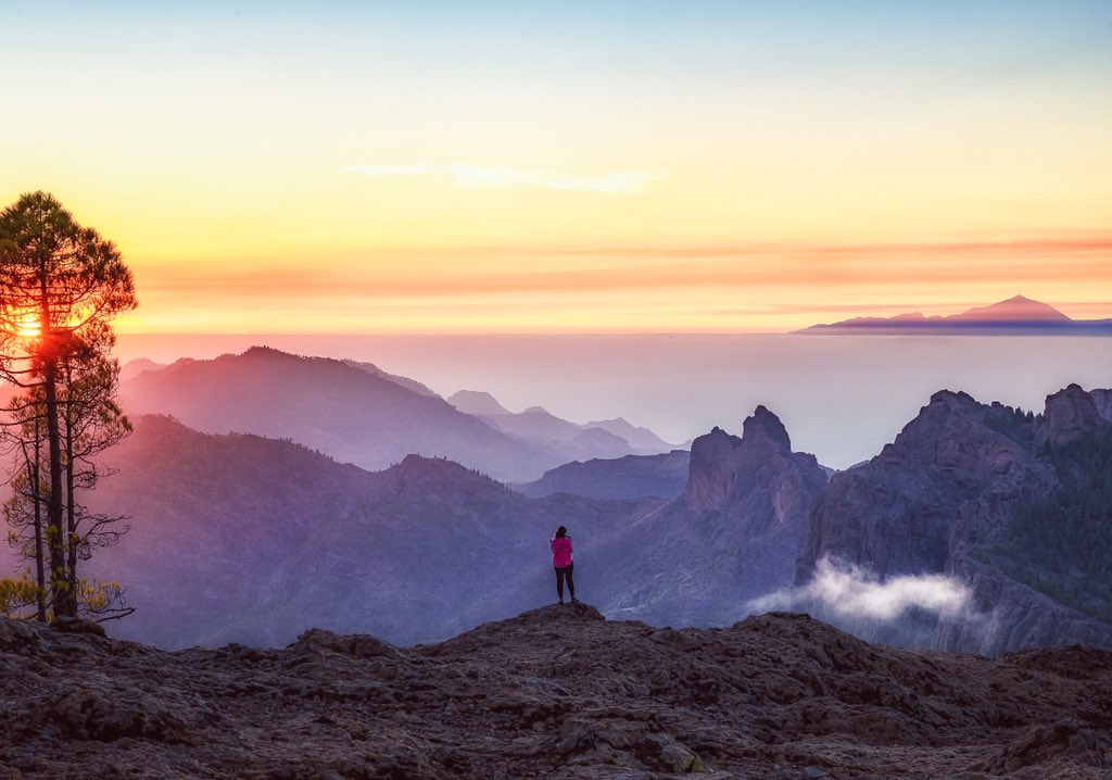 jppisaca's tweet photo. En la cumbre. Gran Canaria 
@islaspromo 
@vistoencanarias @cositascanarias @canaryfly_ #latituddevida @canarias_es @paisajecanario 
@meteoRTVC  
@tiempobrasero @GranCanariaTur @TurismoSpain https://t.co/HbnL2pJcRb