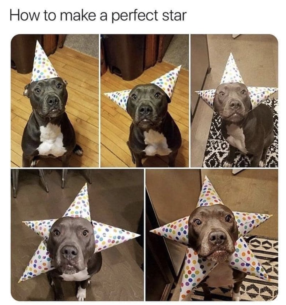 WholesomeMeme's tweet photo. https://t.co/JGZ0d5kilv
