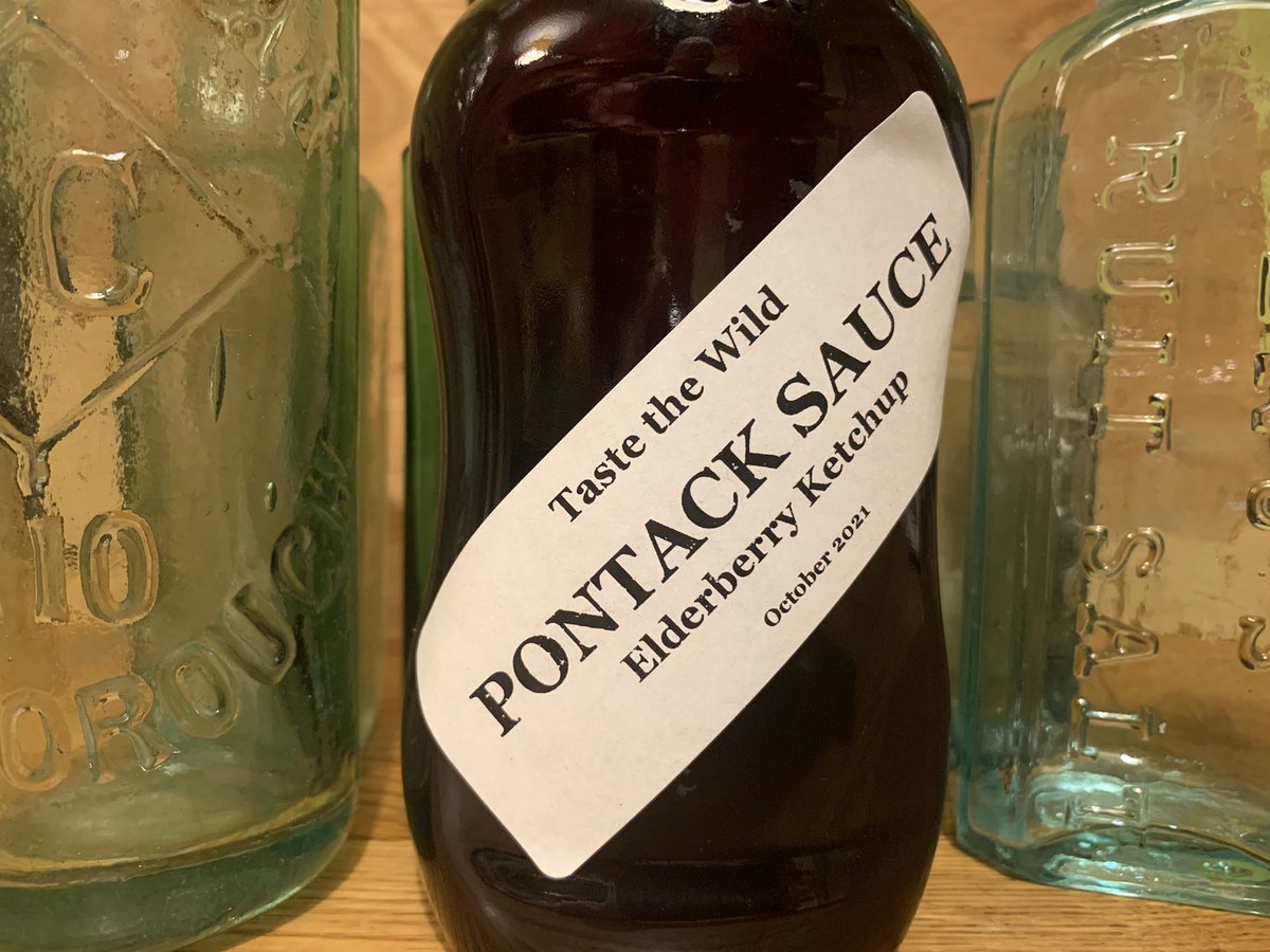 Pontack Sauce / Elderberry Ketchup recipe, ingredients and method available on our blog: tastethewild.co.uk/pontack-sauce-…
