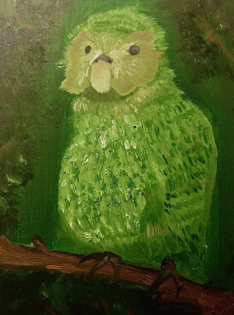 ChaileoPPW's tweet photo. Kākāpō oil painting from over a couple of days, after only painting landscapes it was a bit of a learning curve but Im happy with how it's turned out!
@takapodigs Ngā mihi nui for all of your mahi coming into the #kakapo breeding season! https://t.co/MAMXc8BFfQ