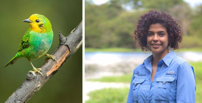 AudubonAmericas's tweet photo. 👁️OJO 20/10/21 - 15:00 COL/16:00 EST
Conservación y observación de aves en Colombia. Gloria Lentijo explica por qué #Colombia es #1 en diversidad de aves y contará las estrategias de Audubon Américas para promover su conservación  
🪶 https://t.co/EBLfj8w9WA  @AudubonNY #birds https://t.co/3bV23l2nDU