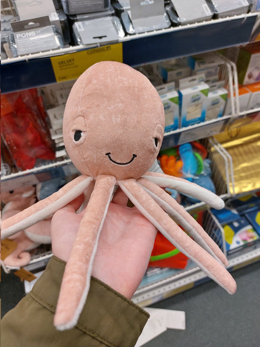 moputopia's tweet image. 