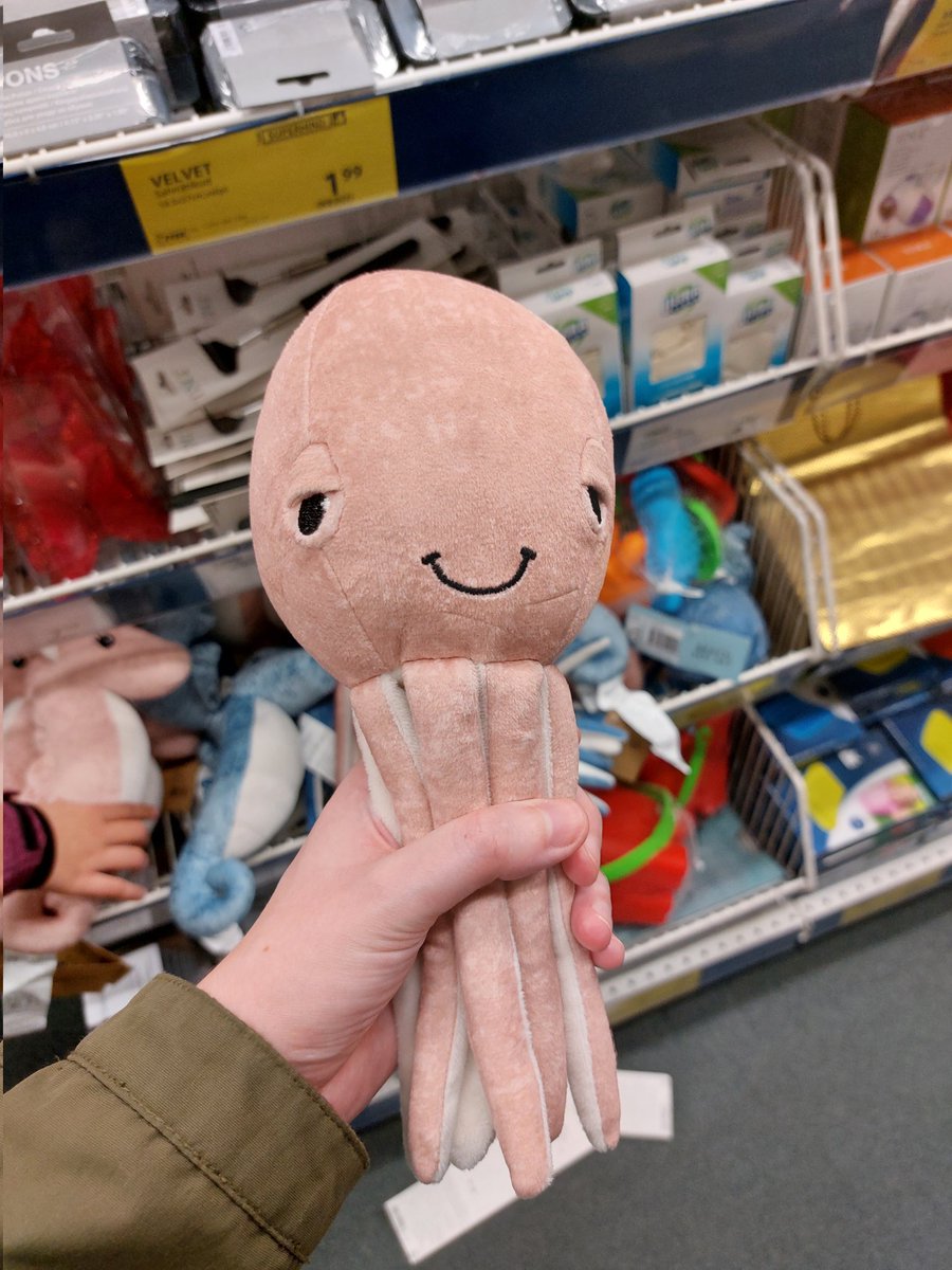 moputopia's tweet image. 