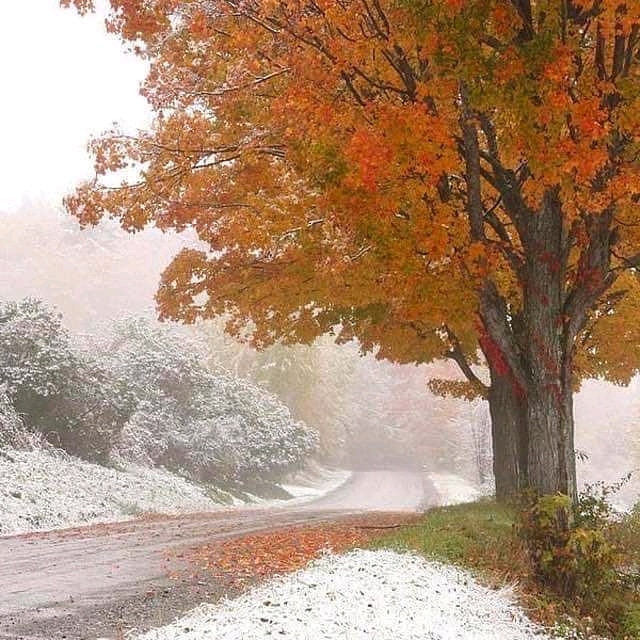 It was snowing today! The first snow of the season and it was so cozy.