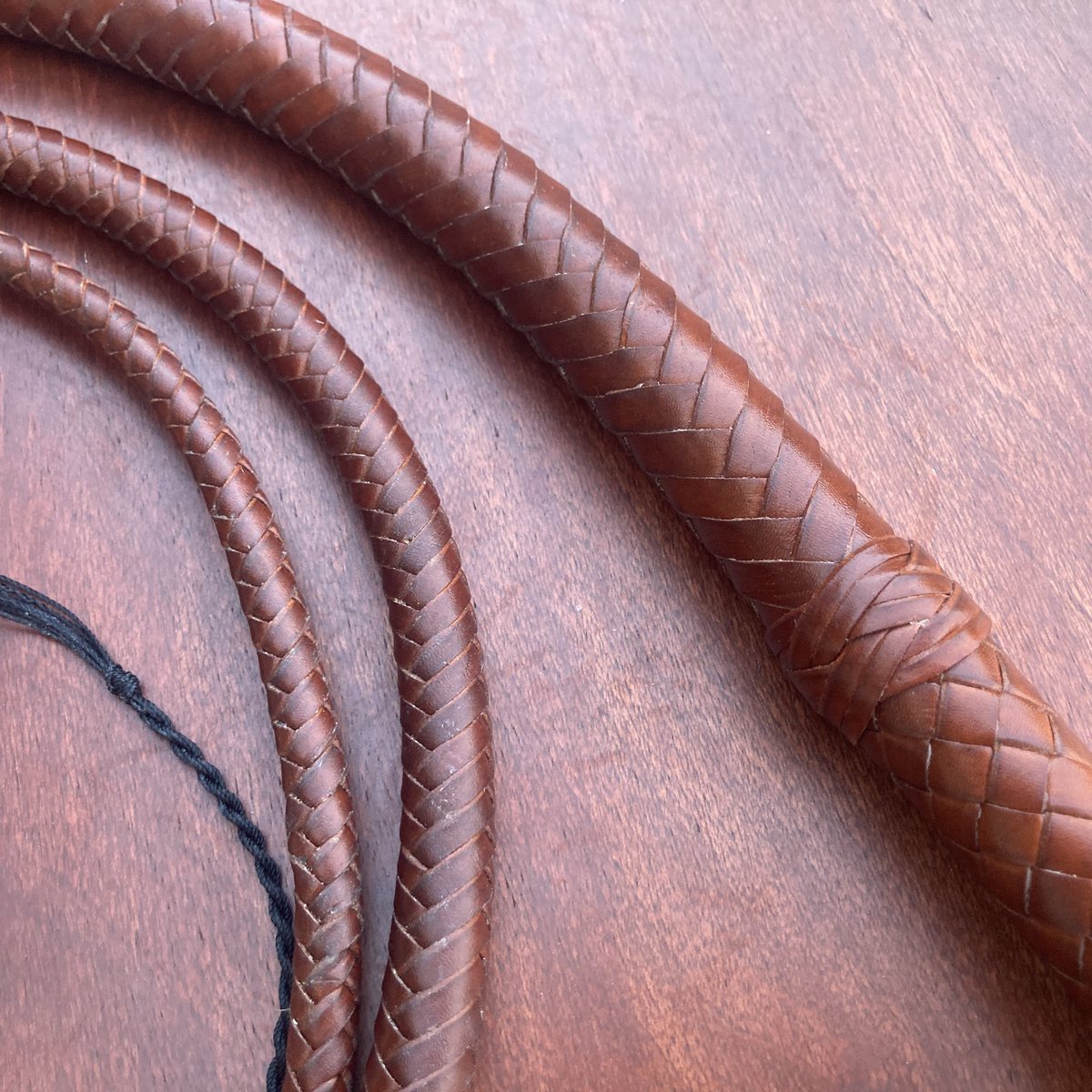 A 7 foot Gladius bull whip in saddle tan, on the In-Stock page now. The strands on this whip came out just a little bit smaller than I intended, but I love what it did for the look!
.
.
#whip #whips #leatherwhip #gladiusbullwhip #torrancefisher #swordguybuilds #leatherbraiding