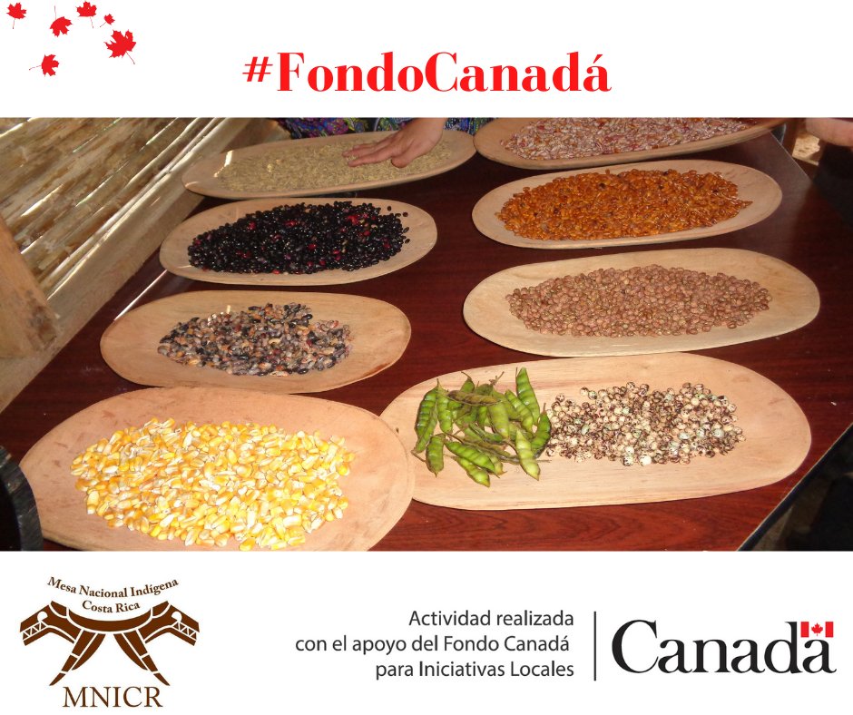 EmbCanCRHNNI's tweet photo. 🇨🇦 sabe que hay mucho por hacer en 🏠 y en nuestras embajadas en el 🌎 Necesitamos buscar cómo apoyar a los pueblos indígenas a recuperar, revitalizar y fortalecer su idioma y cultura.Por eso, nos alegra colaborar en 🇨🇷 con la #MNICR. #CostaRica #IdiomasIndígenas #CulturaIndígena https://t.co/jgc8JOC3wk