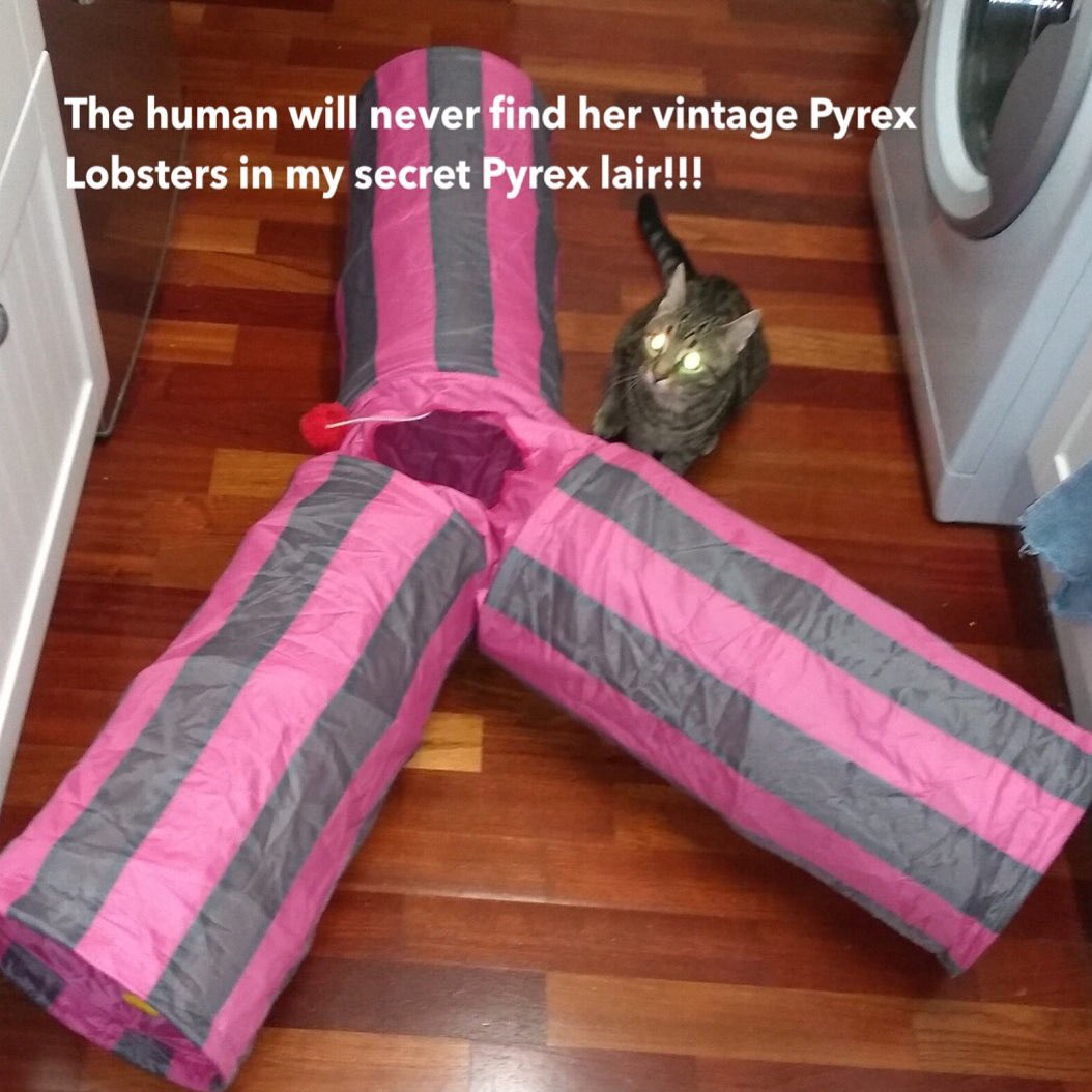 PartyPyrex's tweet photo. #VintagePyrex #PyrexFun https://t.co/1ess2MI3nD