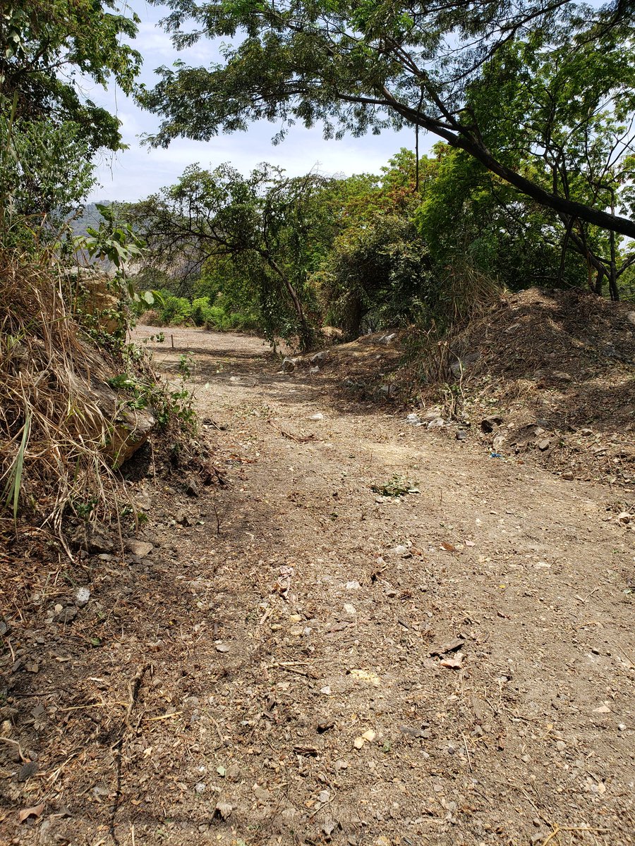 Salvemosalpijio's tweet photo. Municipio de Guayaquil continúa con sus prácticas abusivas: ingresa sin autorización al terreno que pretenden hacerlo botadero vía a la costa, viola propiedad privada y destruye el bosque seco @jaimenebotsaadi @JosueSanchezEc @Expresoec @ViaLaCostaUnida @jRodriguezECU https://t.co/6vnGelC1Xh
