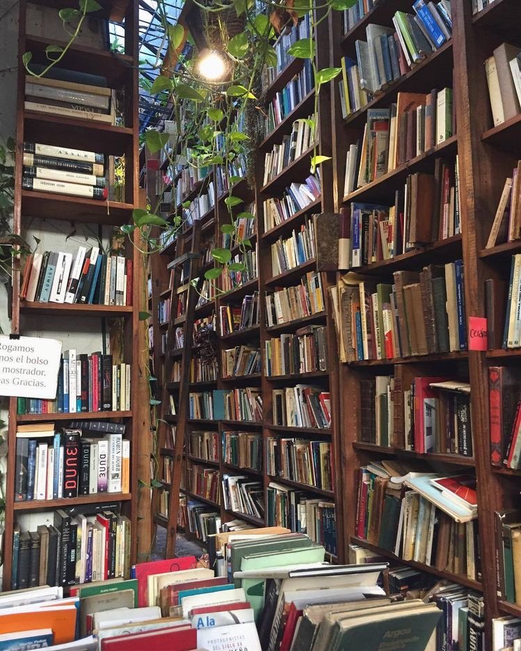 ⋆ ✧ a powerful woman. ✧ ⋆ tweet media