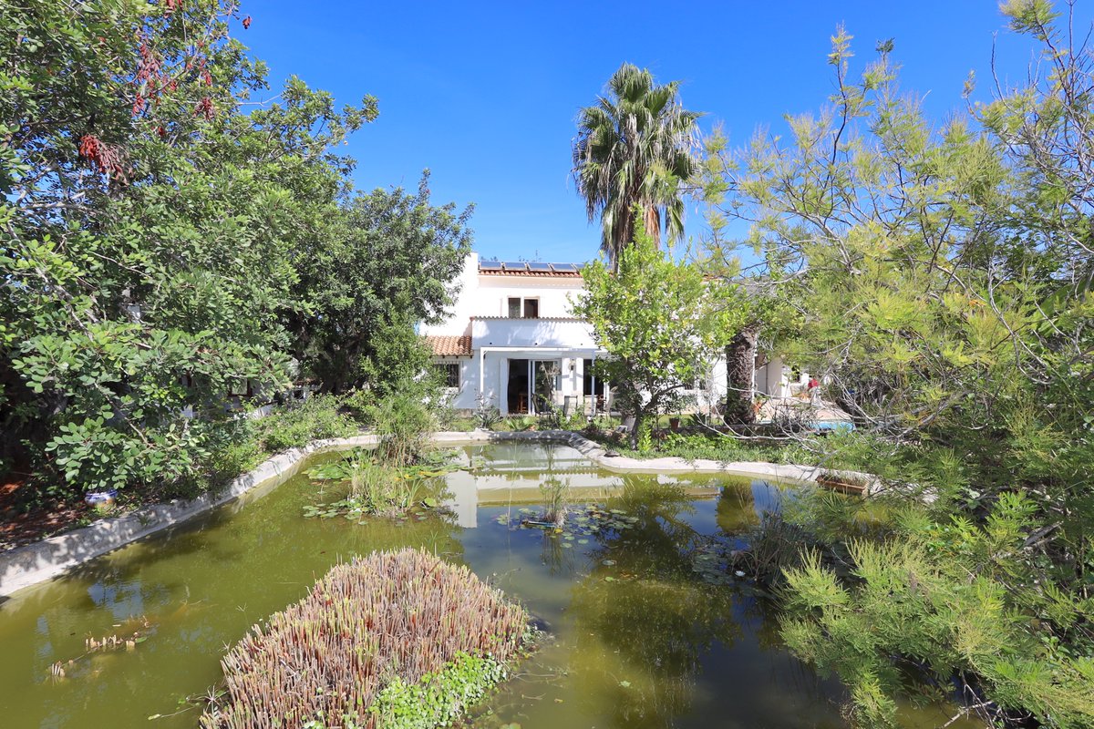 StarckEstates's tweet image. Authentischer Finca Charakter in La Sella 🤩
Großes Grundstück mit vielen Nutzungsmöglichkeiten, 3 Schlafzimmer 🛌, sonnige Lage ☀️, Sommerküche, Teich, Tiergehege, Doppelgarage. 👌
Preis: 545.000€
👉starck-estates.com/.../haus-finca…
#lasella #fincas #charminghomes #home #farmhouse #farm