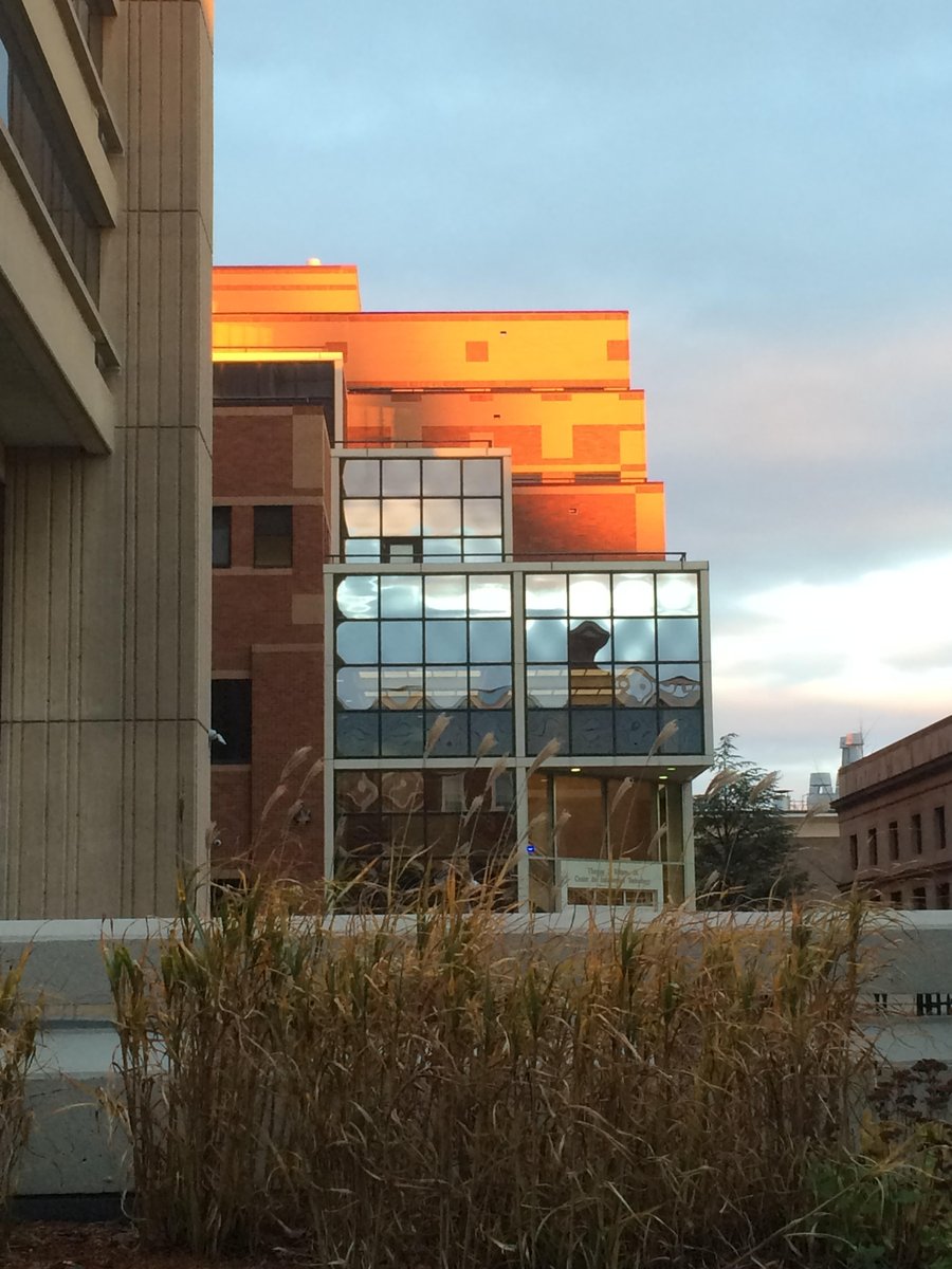 BrownCSDept's tweet photo. @BrownCSDept is hiring multiple tenure-track faculty members at the level of Assistant Professor and one at the rank of Lecturer, Senior Lecturer, or Distinguished Senior Lecturer. To learn more and to apply, please see https://t.co/rN4KyWwPLD. https://t.co/X1w0RxXbTA