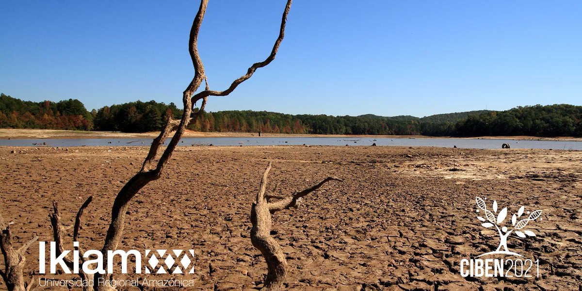 Cruzcaya27's tweet photo. #Ciben2021  |¿Sabias que la alteración de los patrones de precipitación es uno de los efectos del cambio climático? En consecuencia las inundaciones y sequías se prolongan y alteran la dinámica de los ecosistemas, especialmente a los de agua dulce.  

#Ikiam7AñosDeInvestigación https://t.co/vB54I7NaaF