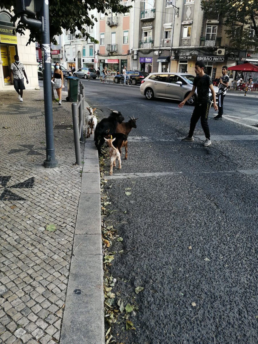 Almirante Reis. Hoje.