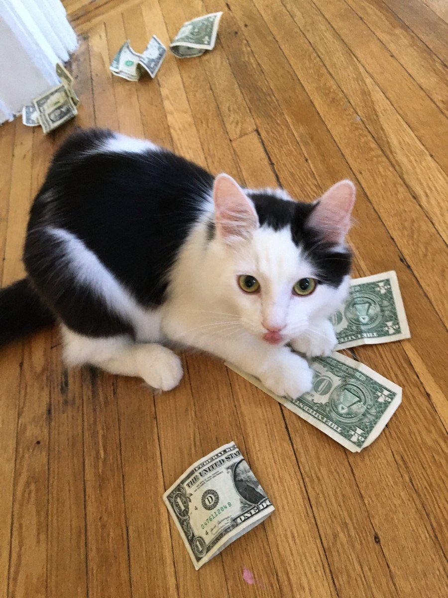 retweet stripper ollie and you’ll find wealth and prosperity under your pillow tonight
