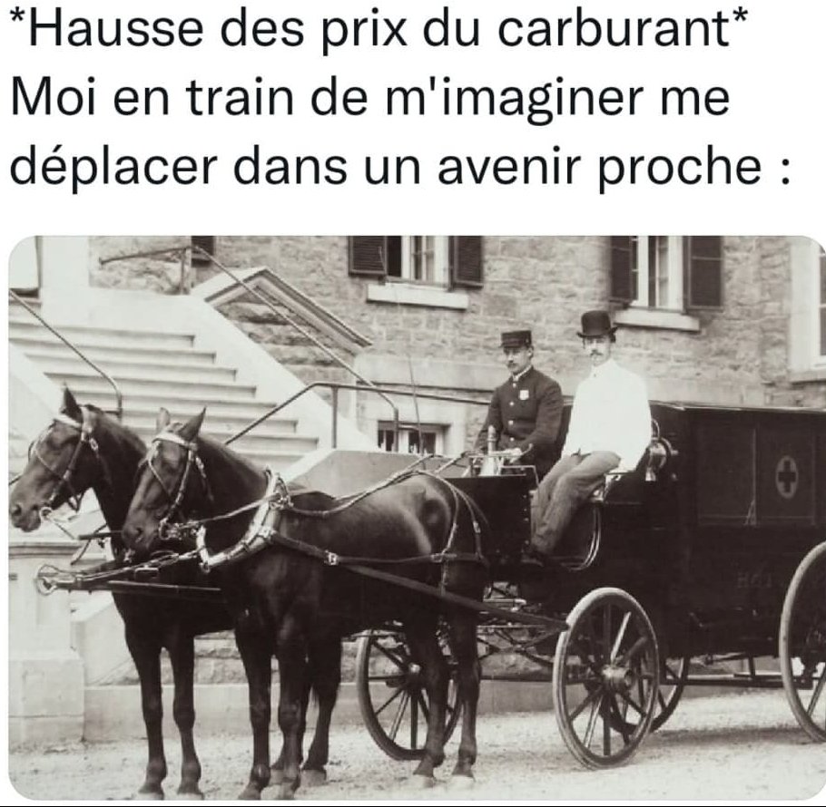 isaeristoff's tweet photo. Recherche chevaux et calèche d'ailleurs
#hausseDuCarburant
#carburant https://t.co/CY6OwGPuPY