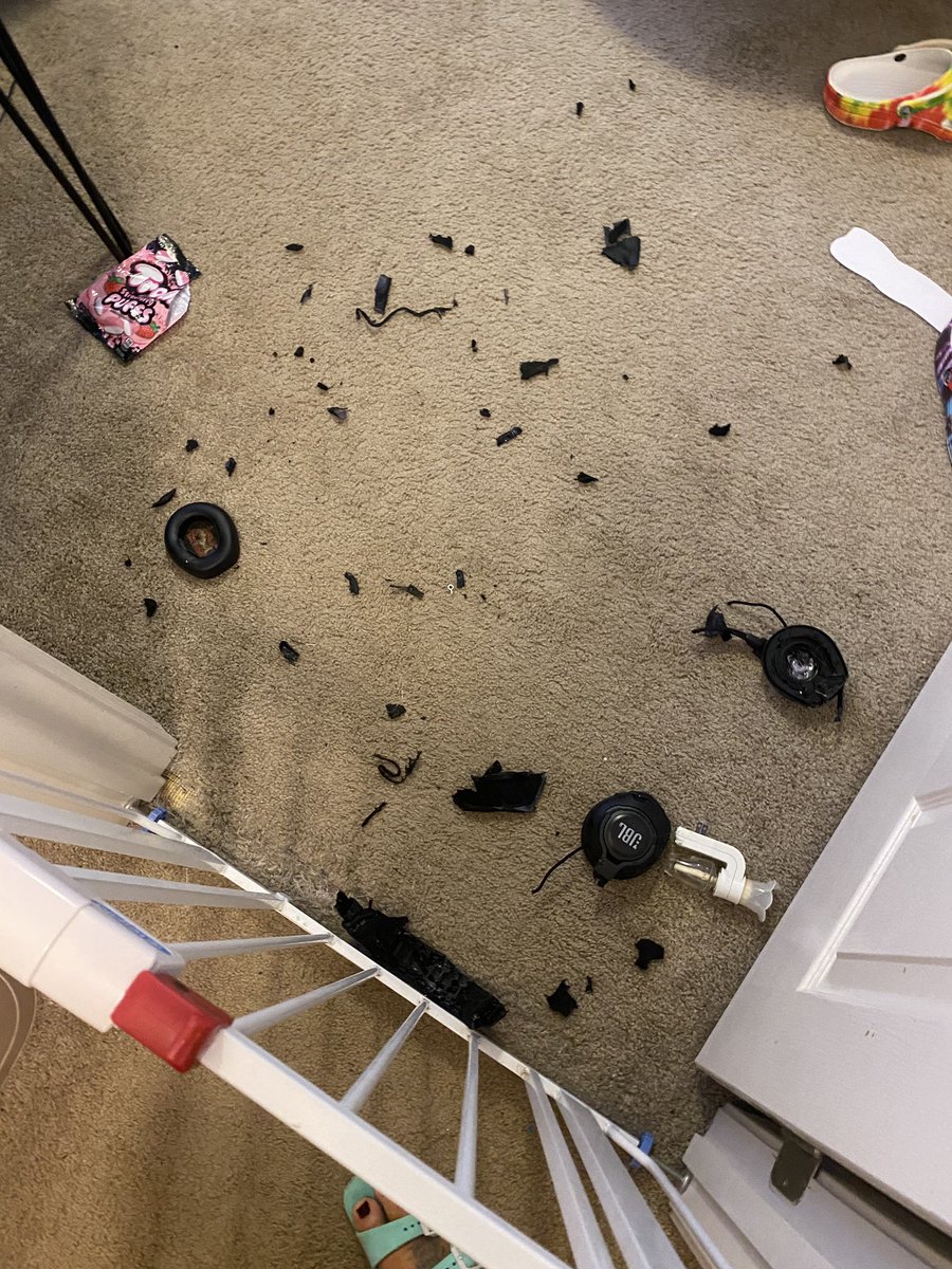 Manjaratv's tweet photo. My German Shepherd chewed up my wifeโs @JBLaudio Quantum Ones, so I decided to give her mine and buy the @ASTROGaming A40s. Iโve owned these 3 times since 2008. Canโt wait to put them on my head! #Gamingheadset #streaming #GermanShepherdproblems # https://t.co/Y5F13jL6Dc