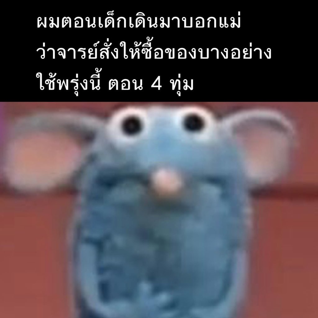 ช่างแม่ง🐰🏳️🌈 tweet media
