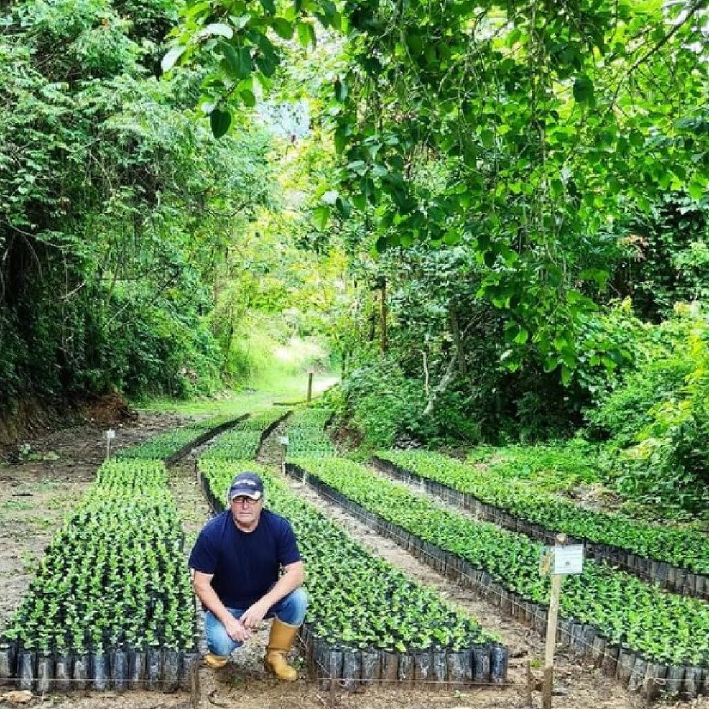 Gesha in Venezuela? You read that right. Read more at Barista Mag Online today—link in profile. Pictured: Enrique Egaña-Wallis, who had a hunch that Gesha would grow beautifully in his back yard. And he was right.

#venezuelacoffee #geshacoffee #… instagr.am/p/CVN99M2p0a9/