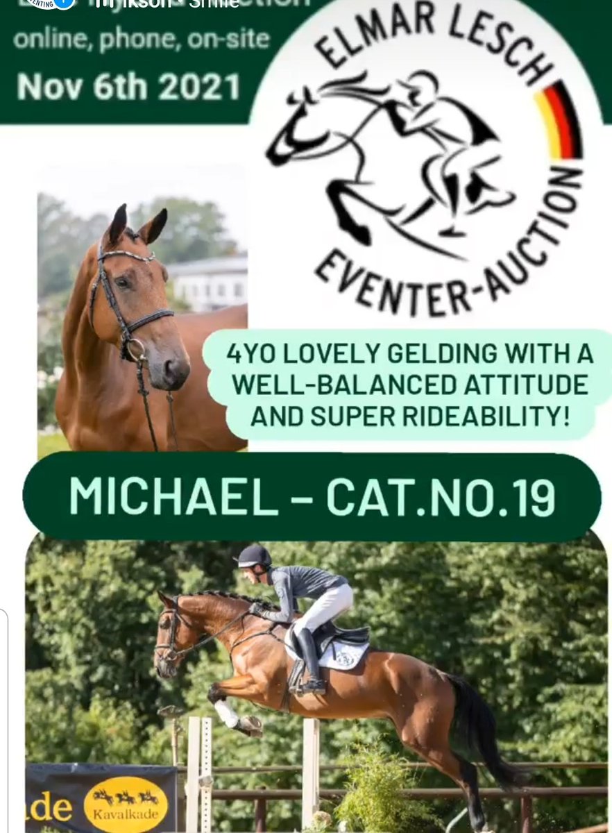 elmar_lesch's tweet photo. #eventerforsale #horseforsale 
https://t.co/HrVTb4cqL4 https://t.co/jpguWOiBwf