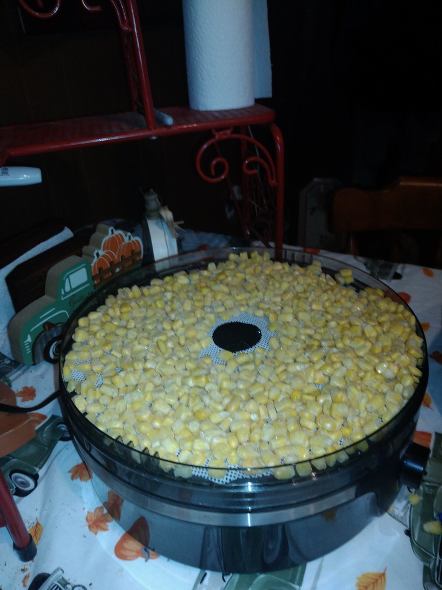 Whatsuppeepswo1's tweet photo. Setting up dehydrator for some fresh greens and frozen mixed veggies for soups, sauces and stews. Cleaning out our small freezer. #prepping #foodshortages #dehydrator #prepareandperserve #prepareness #vegetarianlife https://t.co/RoOLHHMjmJ