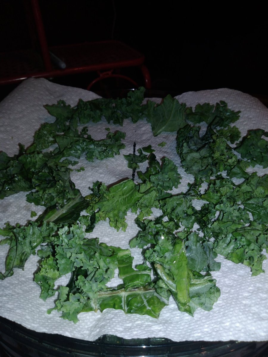Whatsuppeepswo1's tweet photo. Setting up dehydrator for some fresh greens and frozen mixed veggies for soups, sauces and stews. Cleaning out our small freezer. #prepping #foodshortages #dehydrator #prepareandperserve #prepareness #vegetarianlife https://t.co/RoOLHHMjmJ