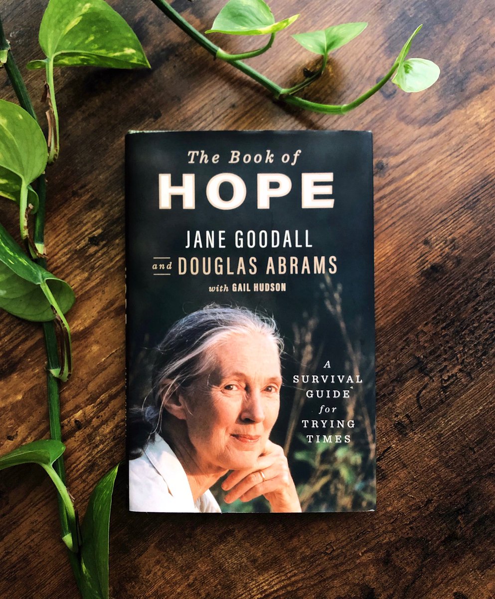 JaneGoodallInst tweet picture
