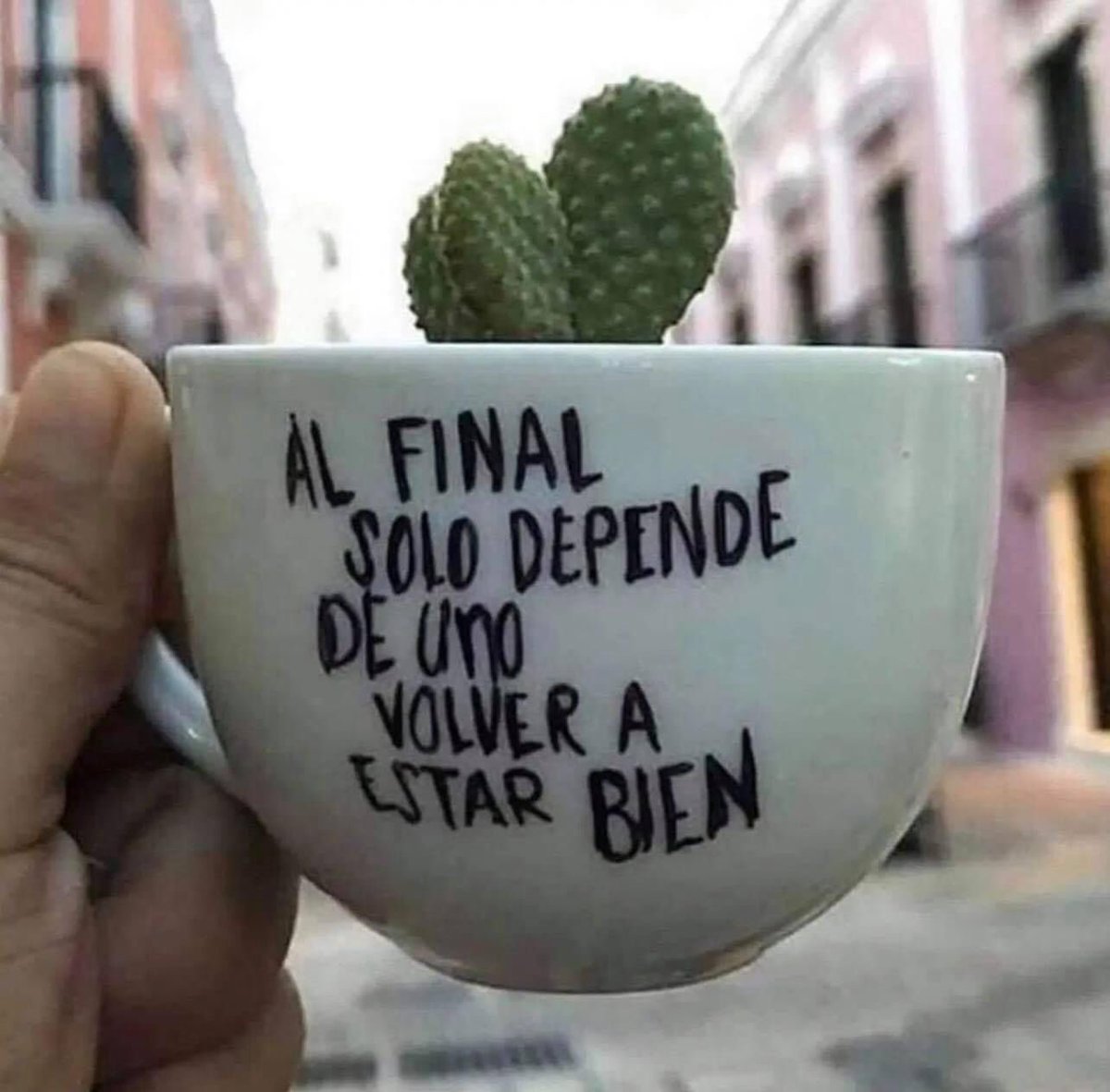 Jorge Mora⚽️ tweet media