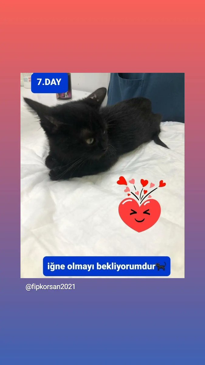 Mestinaz's tweet photo. @fipkorsan2021 instagram hesabini takip ederseniz hergun asamalari gorebilirsiniz https://t.co/at7YrYYU6v