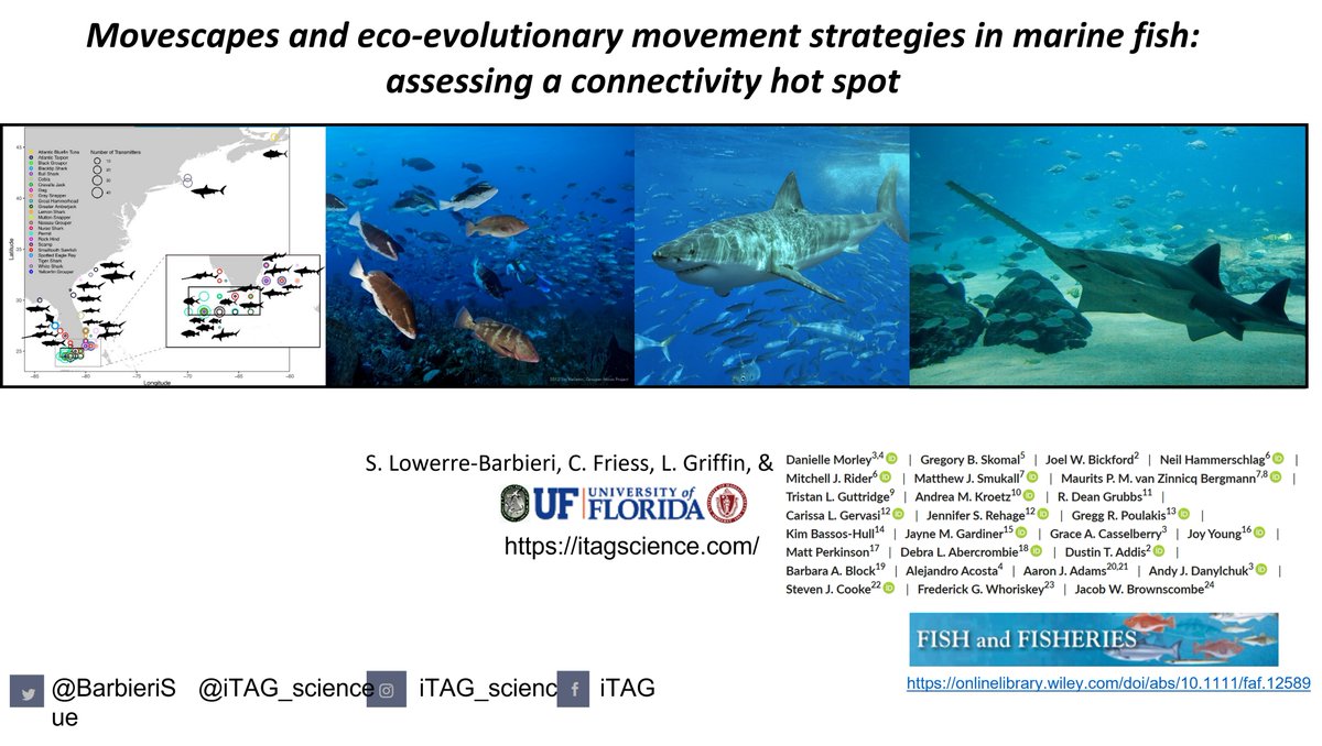 BarbieriSue's tweet photo. Networked telemetry data &amp; an eco-evolutionary framework applied to 23 species to assess comparative movement ecology important to management. Check out our on-demand #BLS7Hawaii talk.  If u work with🐢🦒🦌🐺🐳🐓🦅🐒🦊🪳🦋🐨would this framework have application to your species? https://t.co/0aWAhAD70Z