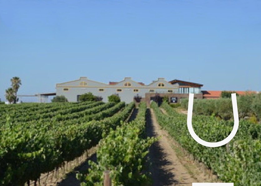 wine_alle's tweet photo. Located on the Setúbal Peninsula, @filipepalhoca began in 1950. A story of dedication and love for the vineyard, inherited from parents to children. 

#winetour #winetourism #winetours #winetourist #winetouring #winelover #winescape #partnership https://t.co/yhJr6WpkVg