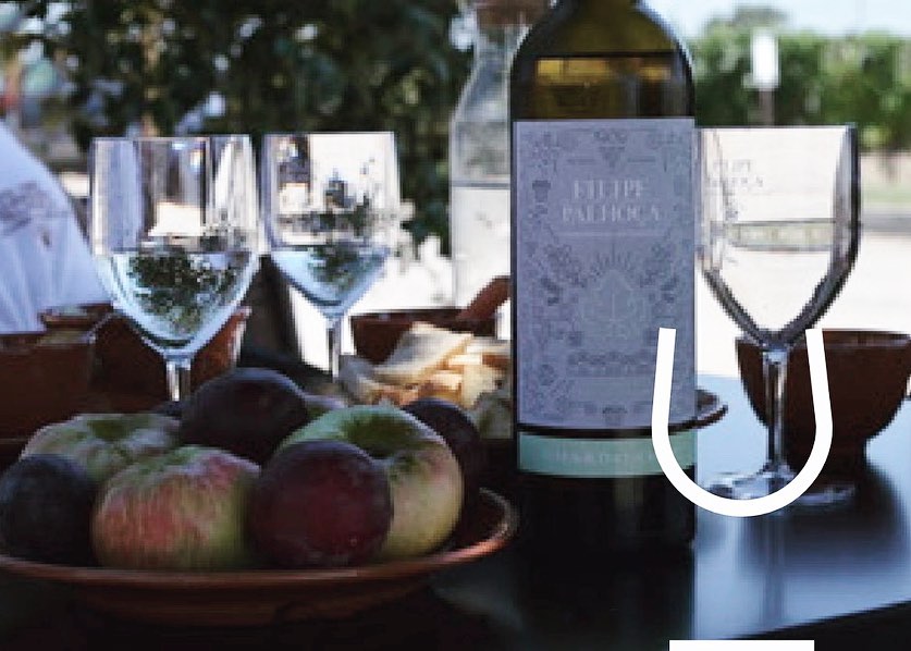 wine_alle's tweet photo. Located on the Setúbal Peninsula, @filipepalhoca began in 1950. A story of dedication and love for the vineyard, inherited from parents to children. 

#winetour #winetourism #winetours #winetourist #winetouring #winelover #winescape #partnership https://t.co/yhJr6WpkVg
