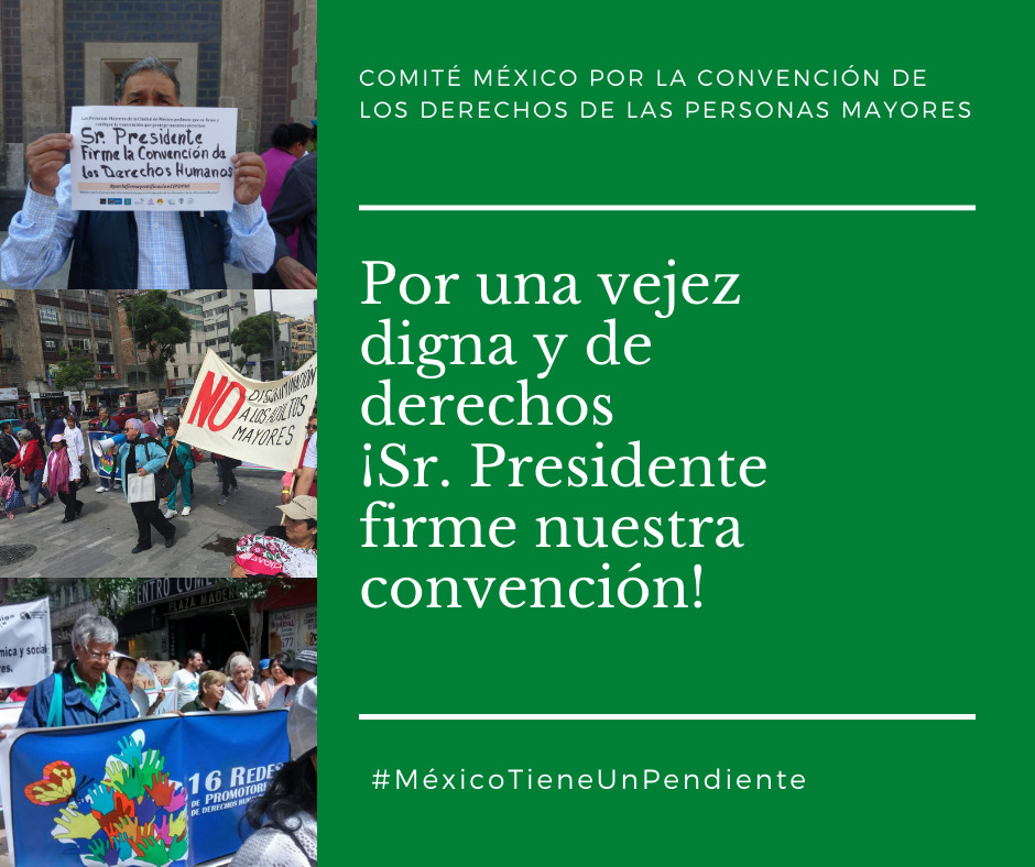 CietsgeO's tweet photo. Es un buen día para la firma de nuestra Convención https://t.co/mUejIWaIDn
#MéxicoTieneUnPendienteConLasPersonasMayores #SúmateALaCampaña #personasmayores
@lopezobrador_ @SRE_mx @senadomexicano @Mx_Diputados @cepal_onu https://t.co/tqX53CyNRB