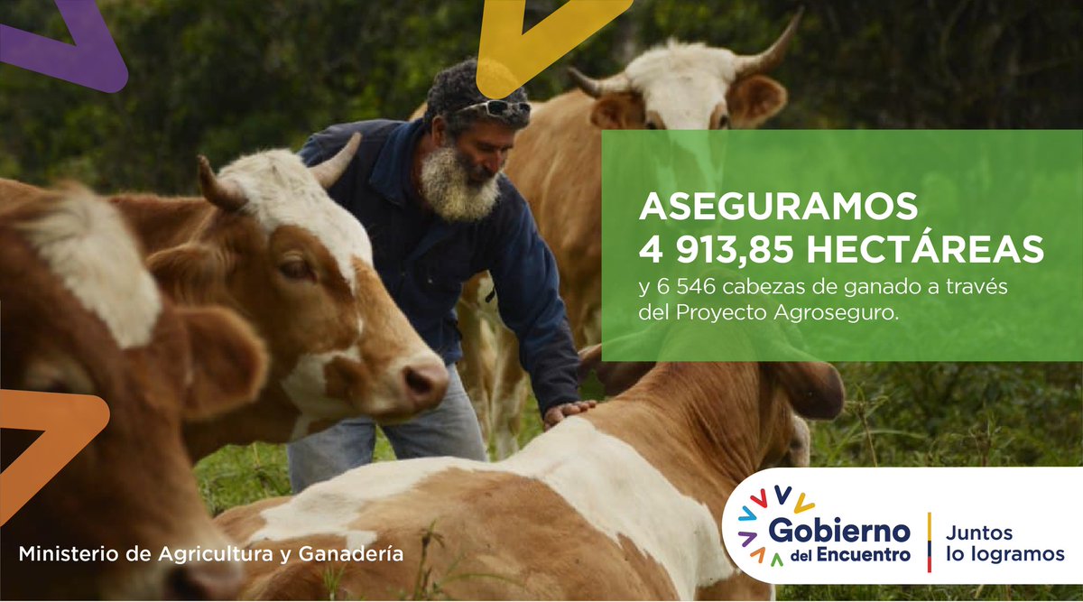 LisCarcelen's tweet photo. #TrabajamosPorElCampo junto al Proyecto AgroSeguro de @AgriculturaEc. Entregamos subvenciones de USD 202 324 por la adquisición de pólizas del #SeguroAgrícola y de USD 101 182 por #SeguroGanadero.
#JuntosLoLogramos https://t.co/3yIOlzuQ2o