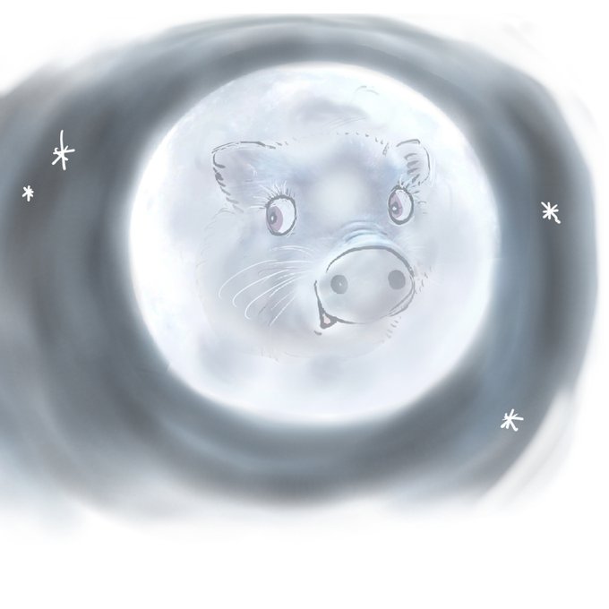 #childrensbooks #earlyyears #awardwinningillustrator 
#llyfrauplant
bookdepository.com/LUNA-MOON-PIG-…