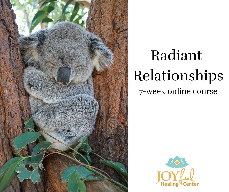 Koala bears are often underestimated for their power and strength. Feel unrecognized or unseen for your strengths?  Are you using childhood unconscious behaviors. Those patterns don't serve the adult you’ve become.  Learn how to have Radiant Relationships  joyfulhealingcenter.com/a/2147497893/J…