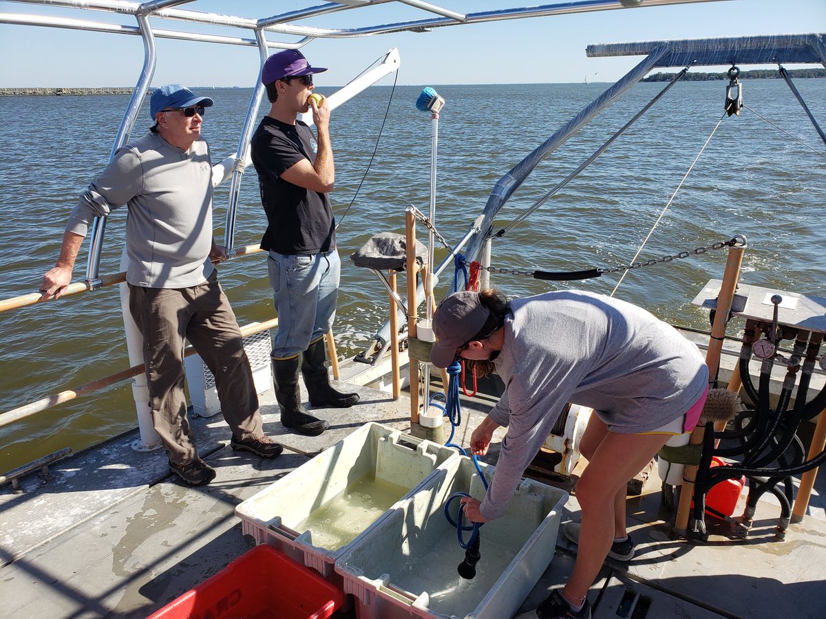 SERCfisheries's tweet photo. Techs, volunteer and intern oh my... Full crew on the trawl boat today. Lovely day for fall #fieldwork! #fishcon #SERCLT https://t.co/XxZPChIUWG